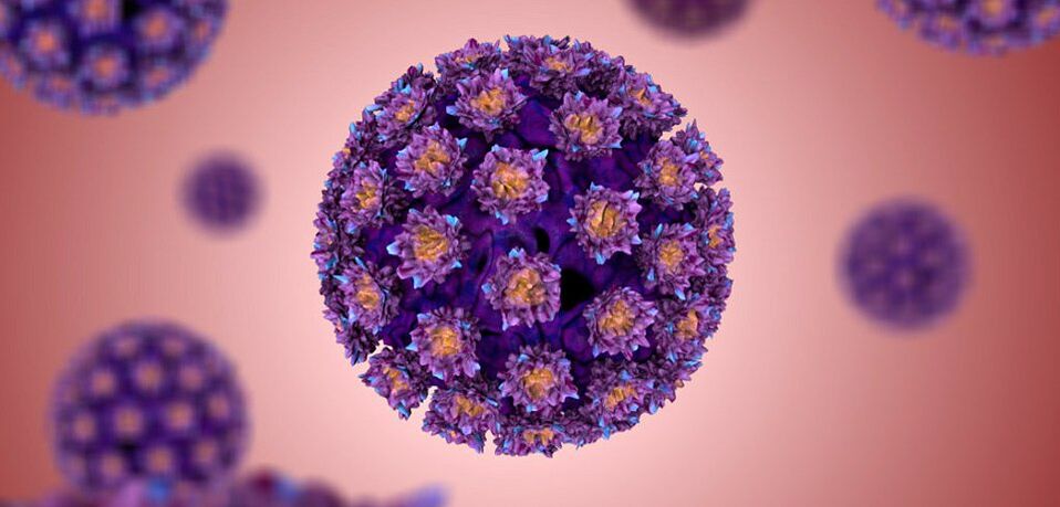 Soorten humaan papillomavirus